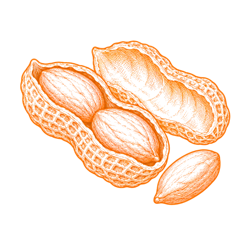 The taste of peanuts