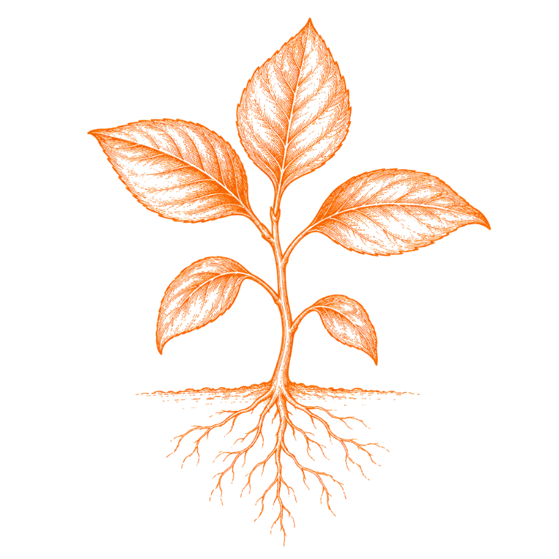 From organic farming
