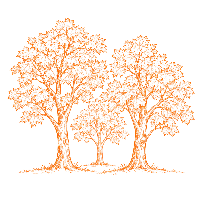 MapleFarm
