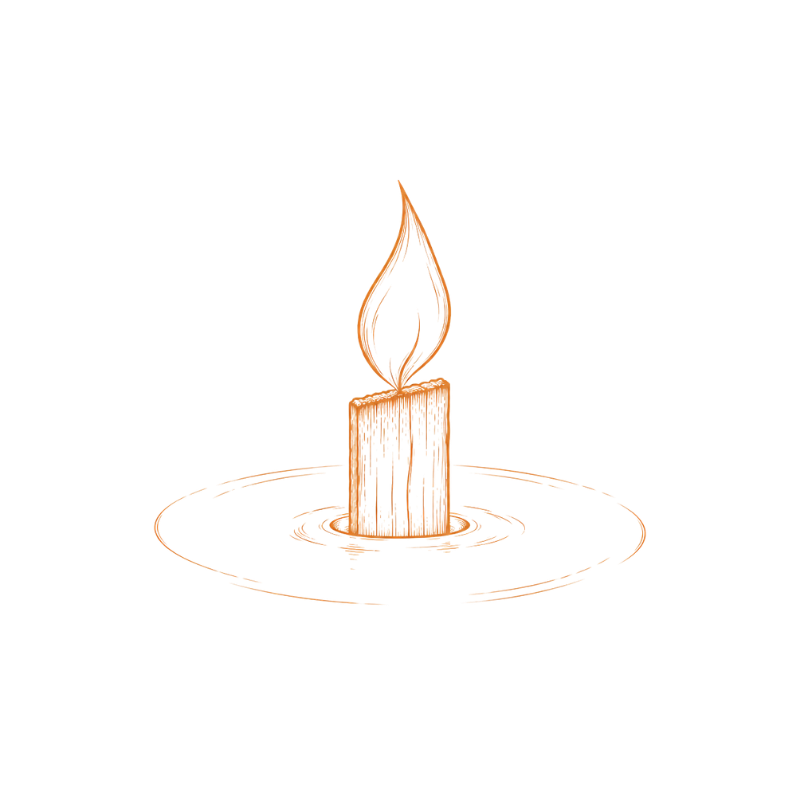 Wood wick