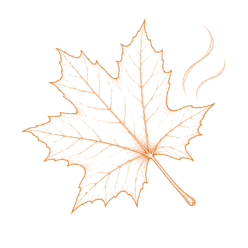 The scent of maple