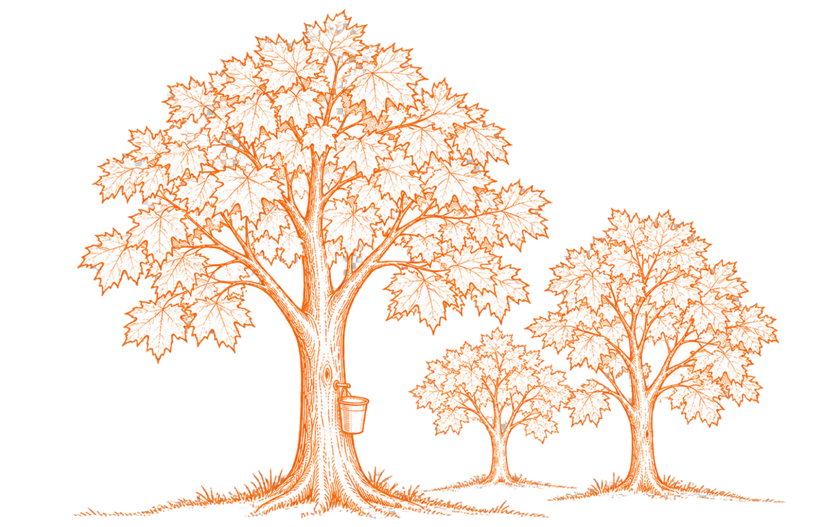 MapleFarm